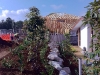 Landscaping in progress
